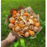 Букет из сухофруктов на 1 сентября